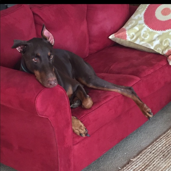 Meet ur Posher: Queenuveverything ~ Style Connoisseur Dallas Tx - Picture 2 of 4